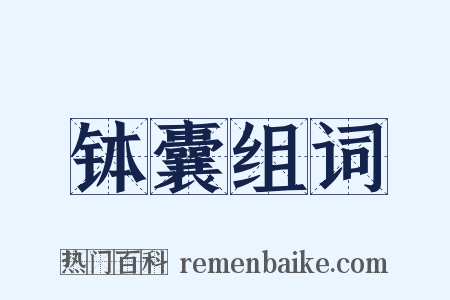 钵囊组词是什么意思的图片